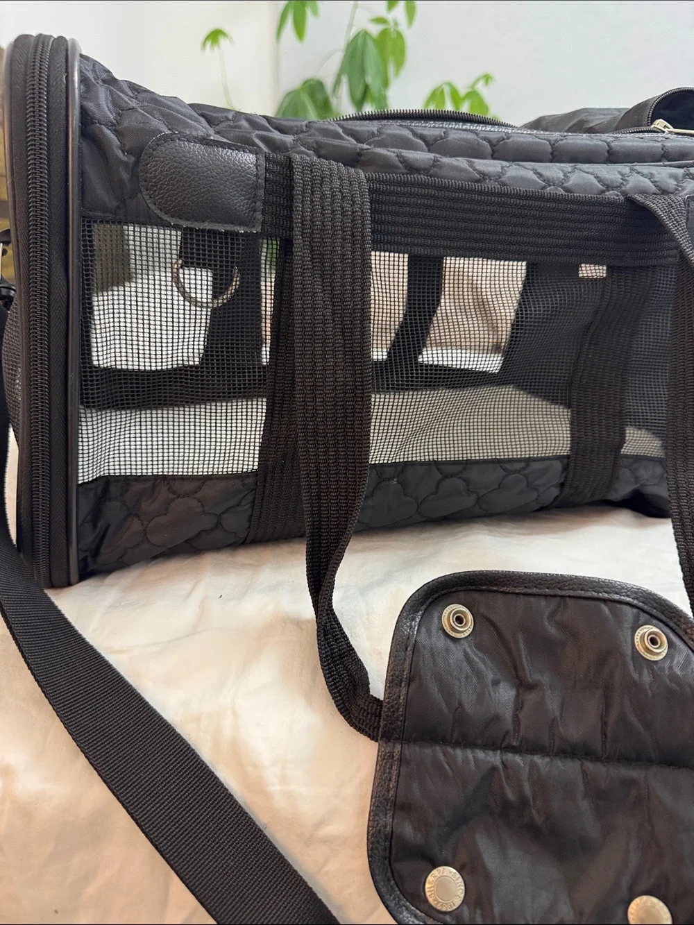 Quilted Black Mesh Pet Carrier